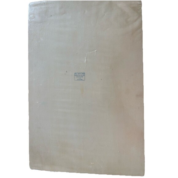 Wooden USA Map Puzzle for Kids 46 PCS United States Puzzle With Capitols 2009 - Picture 6 of 10